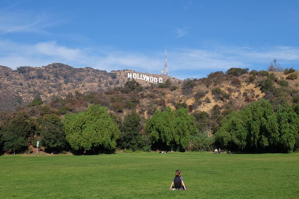 Mount Lee e il segno di Hollywood