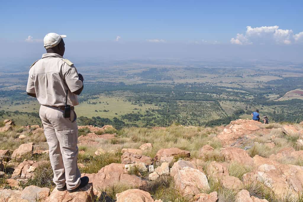 Un ranger del parco ben coperto di kaki Un ranger del parco in piedi sul monte Magaliesberg vicino a Johannesburg e Pretoria in Sud Africa che domina la parte meridionale della valle