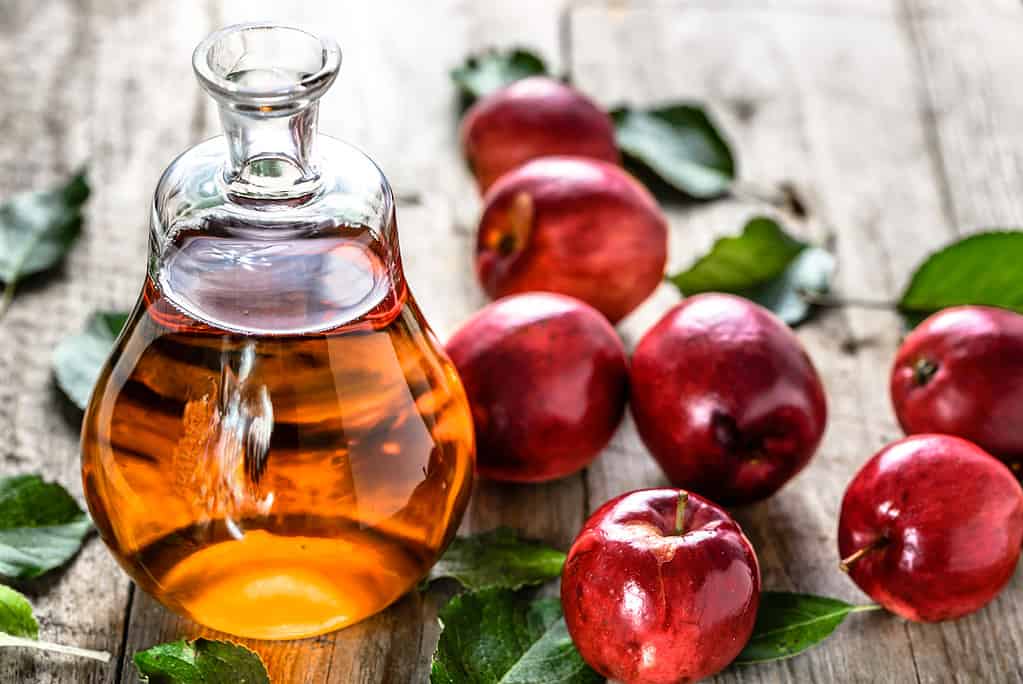 L'aceto di mele è un modo naturale ed efficace per liberare la tua casa dai moscerini
