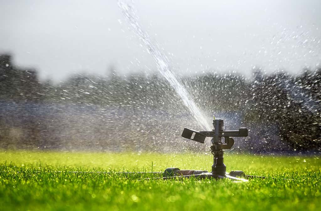 Il sistema di irrigazione automatico spruzza acqua sul prato.  Irrigazione.