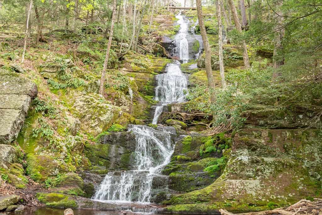 Il latticello cade nell'area ricreativa nazionale di Delaware Water Gap, NJ.  Buttermilk Falls, a oltre 80 piedi, è una delle cascate più alte del New Jersey