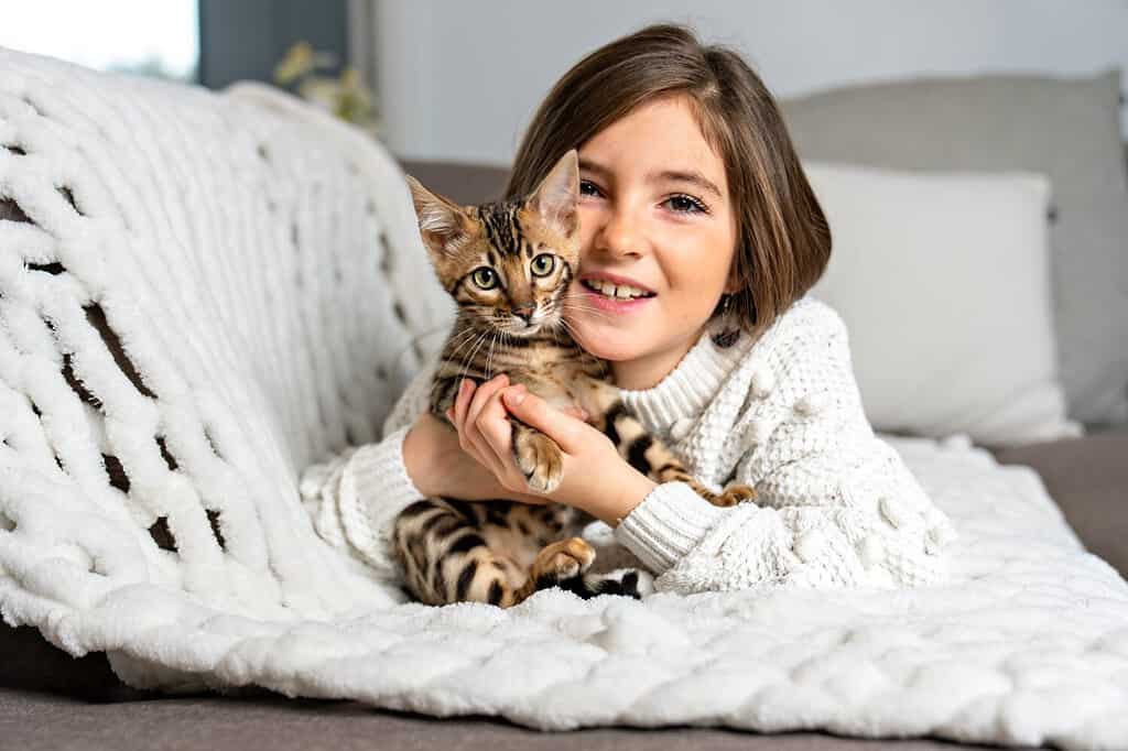 Un gatto bengala in soggiorno sul divano con bambino