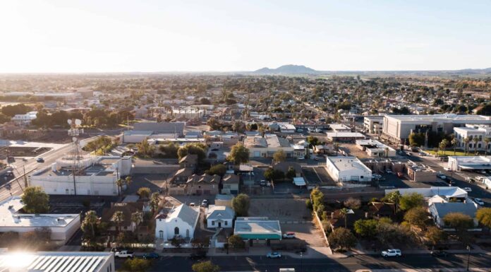 Scopri la più grande fattoria solare dell'Arizona (e ciò che vive intorno ad essa)
