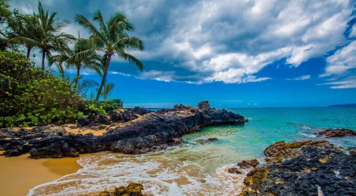 Scopri il momento migliore per viaggiare a Maui
