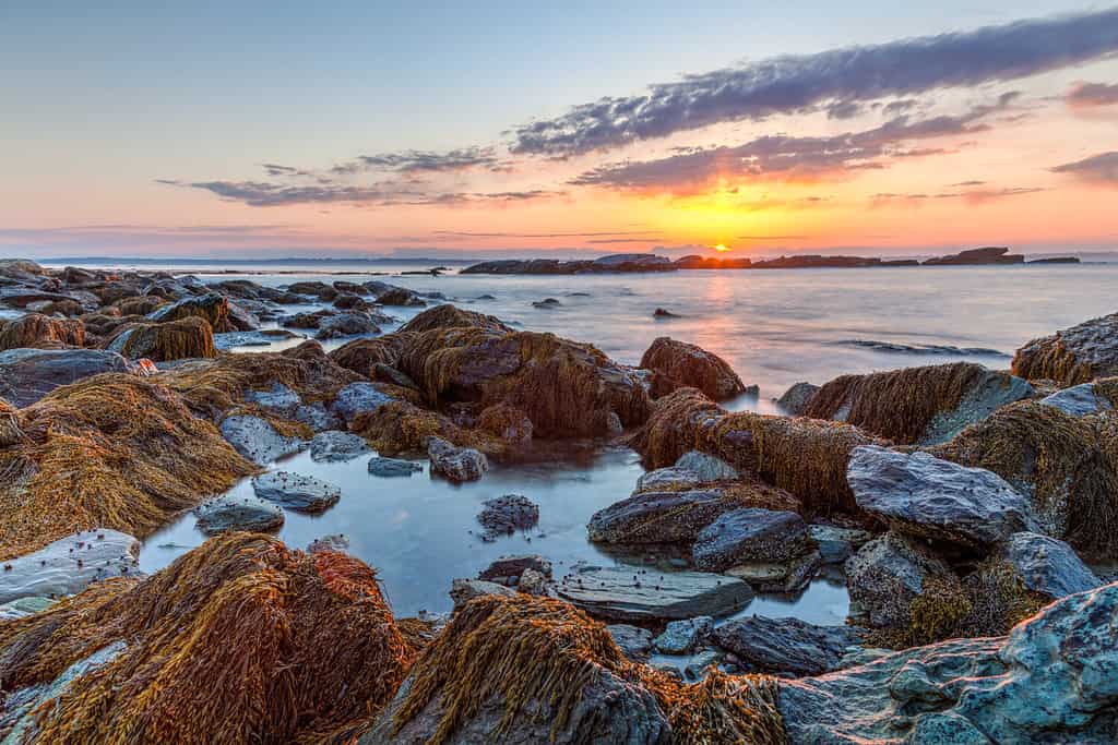 Colorato arancione, blu e rosa HDR sunrise vista sul mare della costa rocciosa al Sachuest Point Wildlife Refuge a Middletown Rhode Island.  / Rocky Sunrise Seascape HDR in America.