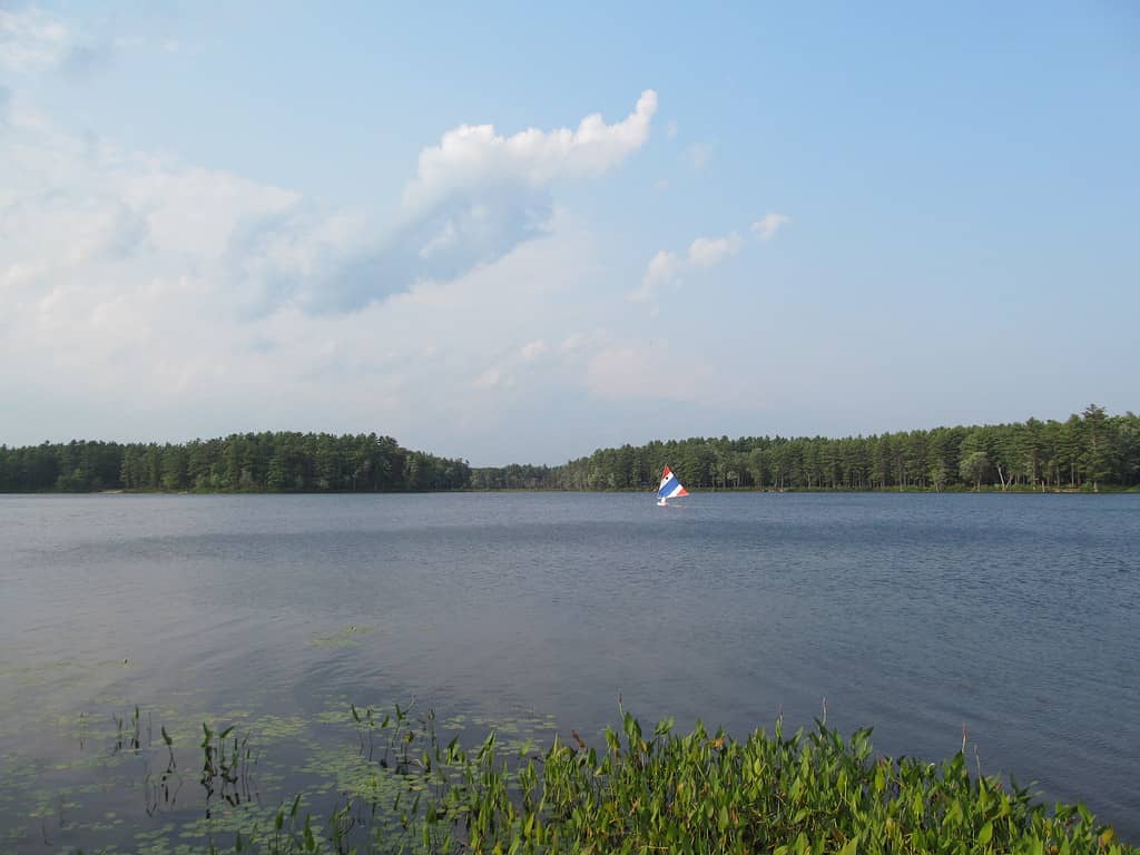Lago Dennison