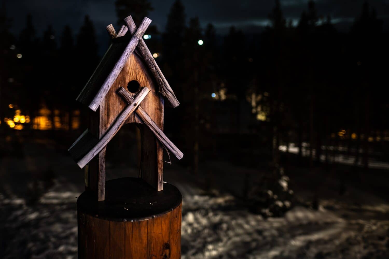 Scatto notturno di birdhouse in legno
