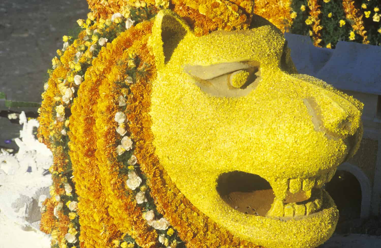 Leone galleggiante in Rose Bowl Parade, Pasadena, California