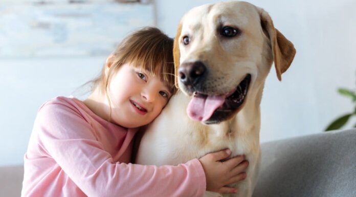 Cane di servizio vs cane di supporto emotivo: 5 differenze chiave
