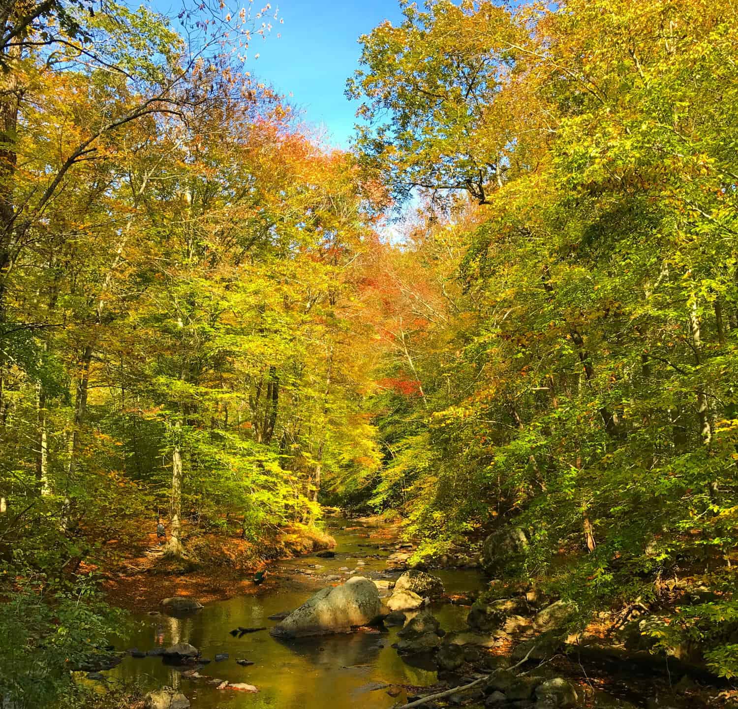 Ridley Creek State Park in Pennsylvania