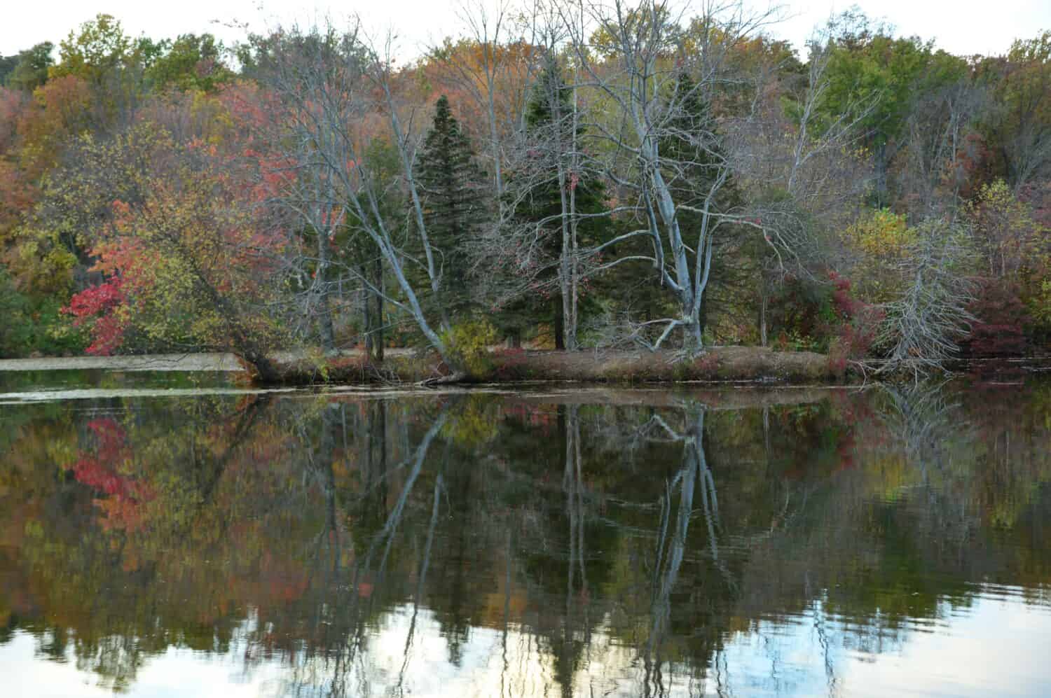 Riflessioni paesaggistiche del fogliame tardo autunnale al French Creek state Park Pennsylvania 