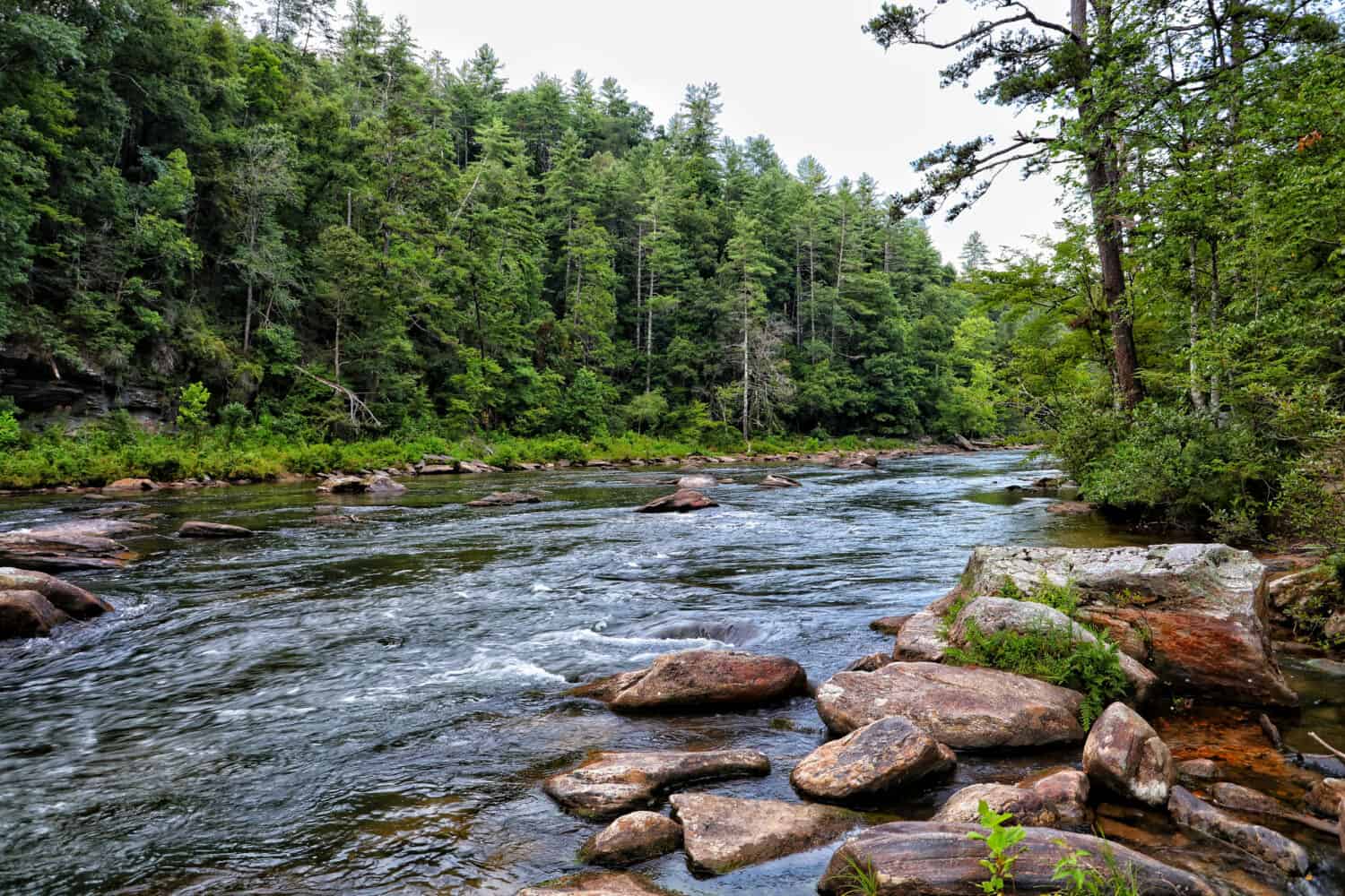 Il fiume Chattooga scende rapidamente dalla provincia geologica di Blue Ridge e forma la maggior parte del confine nord-est della Georgia tra la contea di Rabun e la contea di Oconee della Carolina del Sud. 