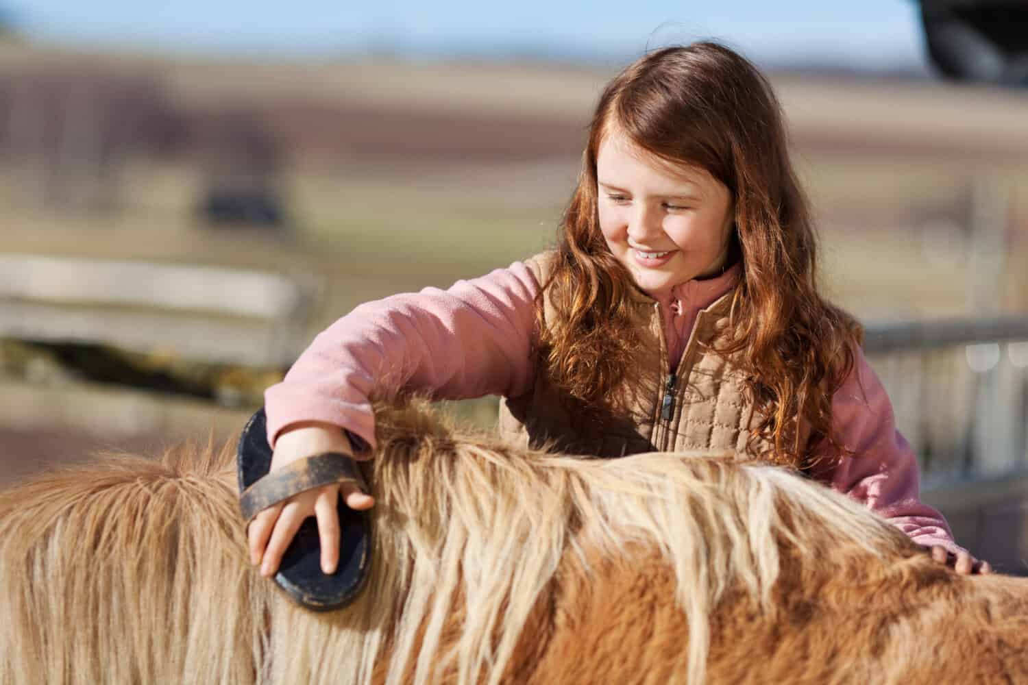 Carina graziosa ragazzina adolescente che si allunga e spazzola la criniera del suo pony domestico