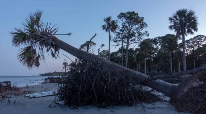 Scopri la città della Carolina del Sud che ha maggiori probabilità di subire un terremoto
