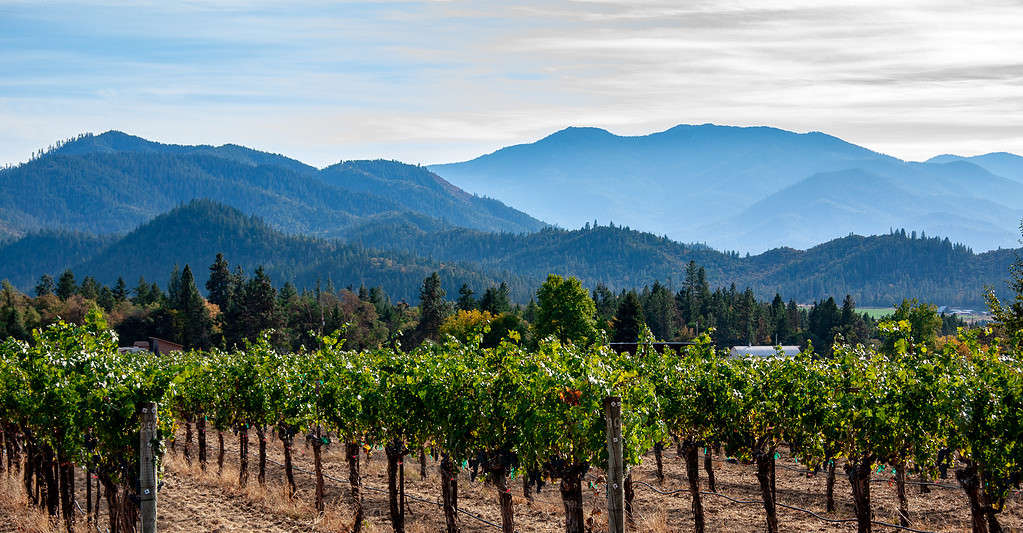 Azienda vinicola Applegate Valley vicino a Ashland, Oregon