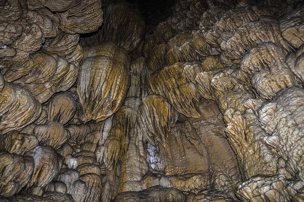 Formazioni sulle pareti di una caverna all'Oregon National Caves Monumant