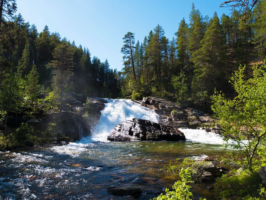 Ravadas cade nel Parco Nazionale di Lemmenjoki, Lapponia, Finlandia