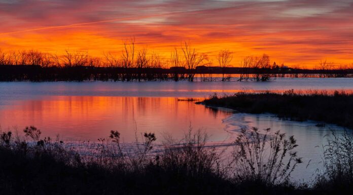 Gli 8 migliori laghi per la pesca nel Nebraska
