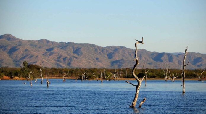 Il lago artificiale più grande del mondo è infestato da coccodrilli e ippopotami
