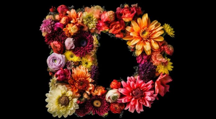 25 bellissimi fiori che iniziano con D

