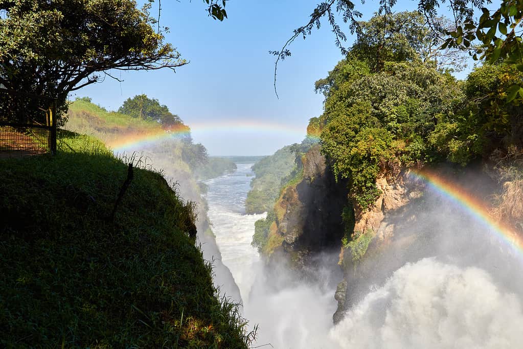 Parco nazionale delle cascate Murchison