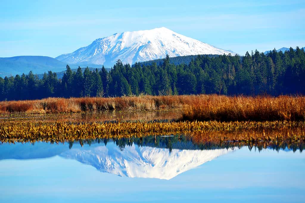 Mount Saint Helens riflesso nel Silver Lake a Washington