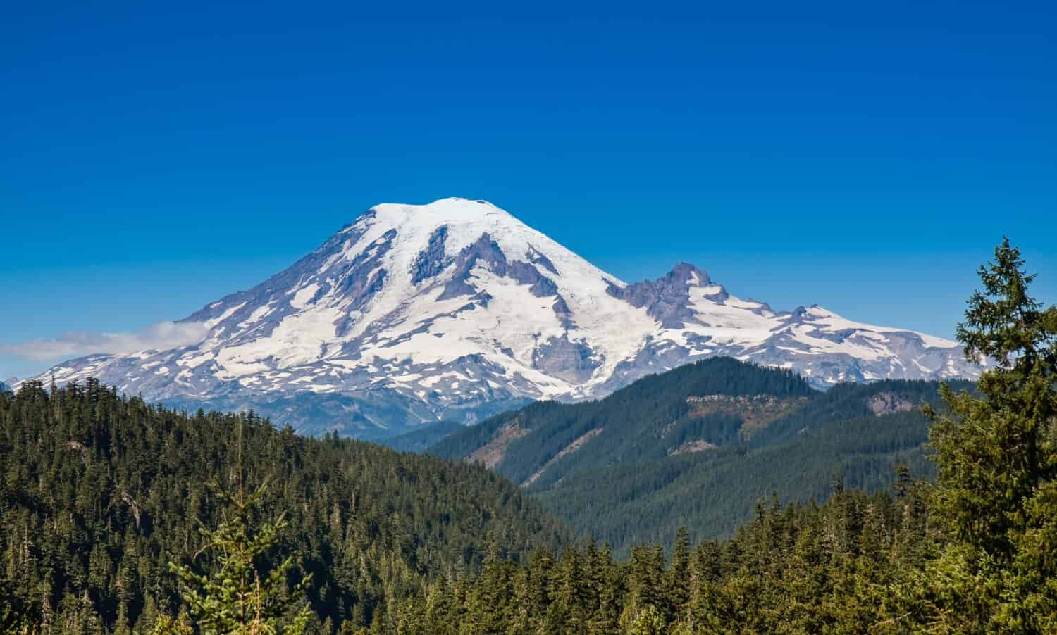 Il Monte Rainier domina le montagne circostanti a un'altitudine di 14.411 piedi. È considerato uno dei vulcani più pericolosi del mondo.
