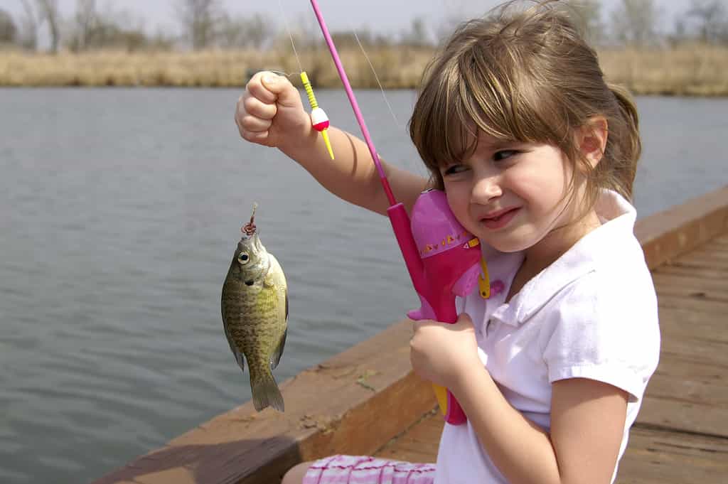 Una giovane ragazza che tiene in mano il pesce che ha catturato, persico sole