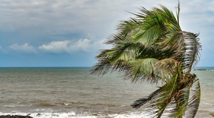 Ciclone, Monsone, El Nino, Spiaggia, Ruvido