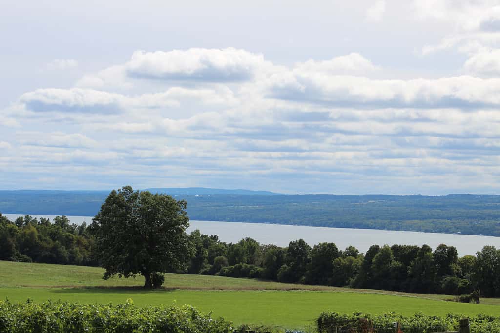 Vista del lago Cayuga, Aurora, New York