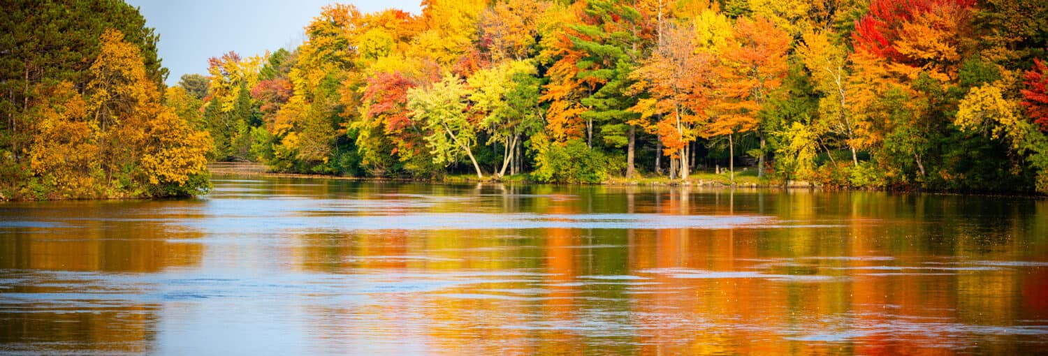 Alberi d'autunno colorati che si riflettono sul fiume Wisconsin a Merrill, Wisconsin, panorama