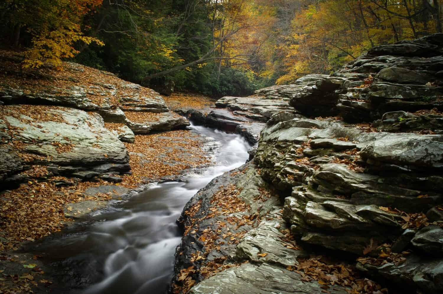 Acquascivoli naturali - Meadow Run, Ohiopyle State Park