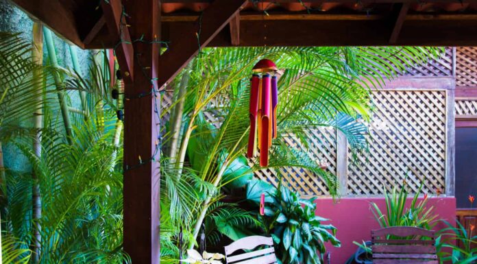 Cortile, pergolato tropicale.  Scacciapensieri in bambù a colori.