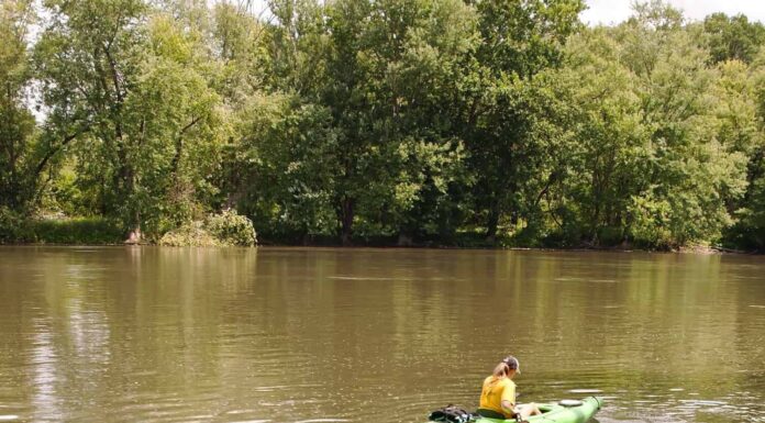 Un uomo e una donna in kayak che entrano nel fiume Allegheny nella contea di Warren in Pennsylvania, USA, in un giorno d'estate
