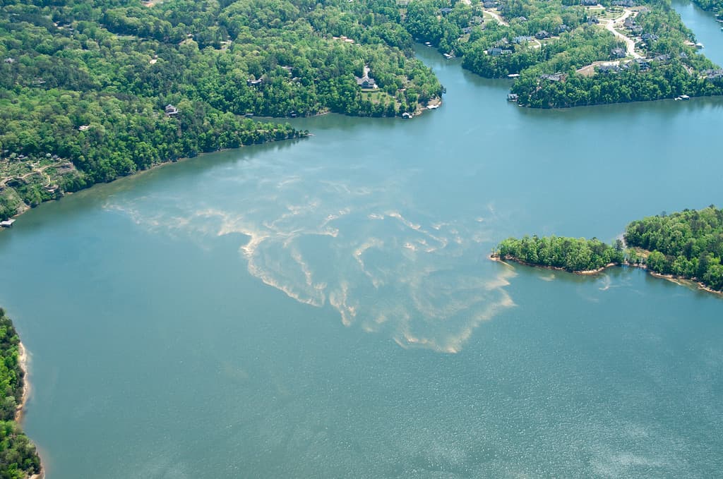 Lago Tuscaloosa: i migliori laghi dell'Alabama per nuotare