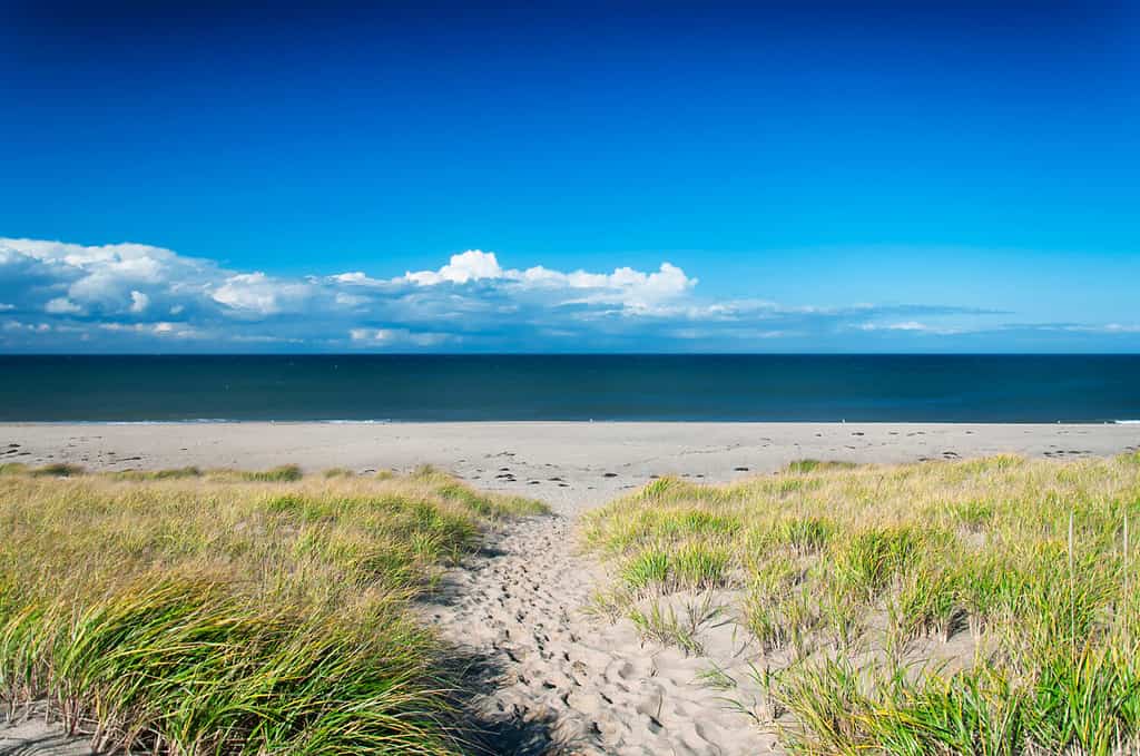 Le dune di sabbia ricoperte di erba che conducono alla spiaggia di Race Point sulla spiaggia nazionale di Cape Cod nel Massachusetts.  in una soleggiata giornata di cielo blu.