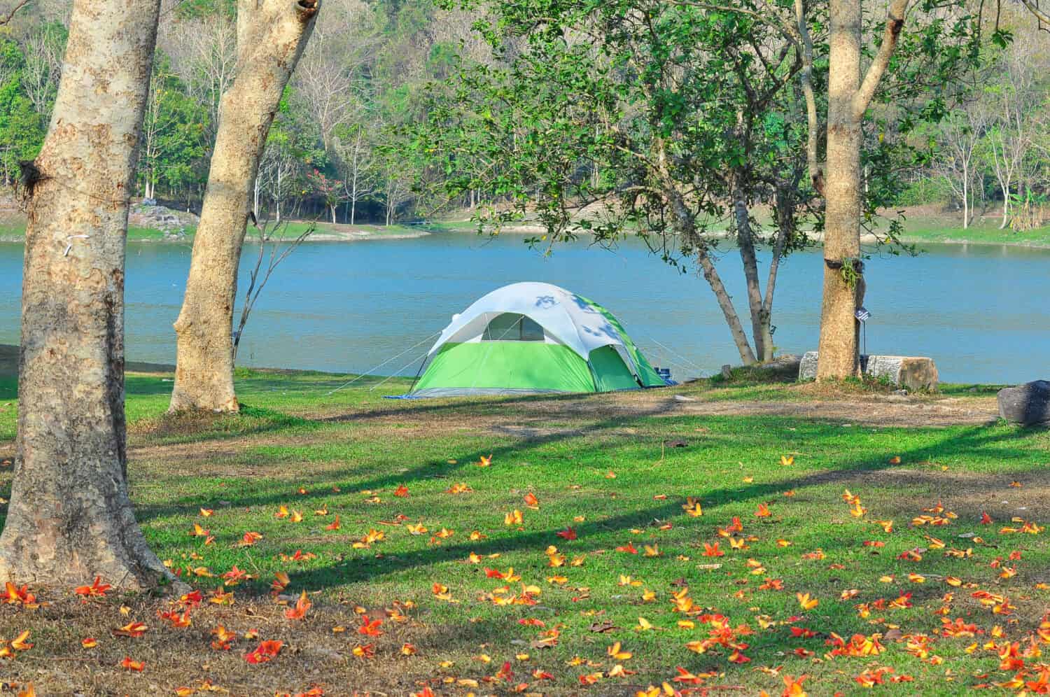 Bella mattinata in campeggio.  La tenda è dalla parte del fiume.  I fiori stanno cadendo a terra