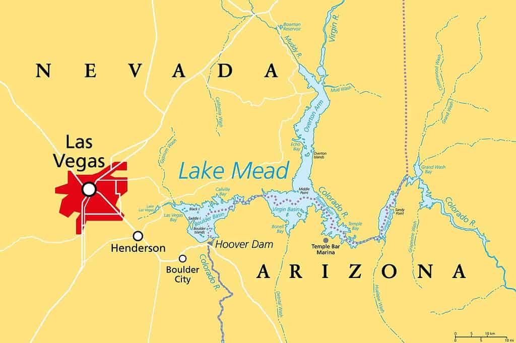 Las Vegas e Lake Mead, mappa politica.  Vegas, la città più popolosa del Nevada, nota principalmente per il gioco d'azzardo e l'intrattenimento, a sinistra del lago Mead, un bacino idrico formato dalla diga di Hoover sul fiume Colorado.