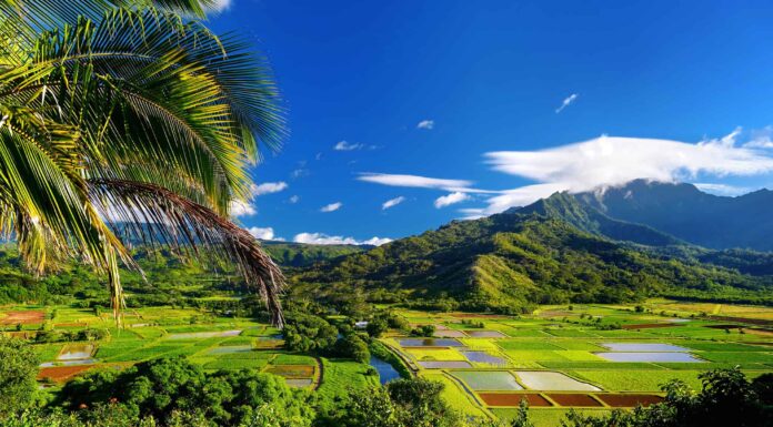 Incontra i 10 più grandi proprietari terrieri delle Hawaii
