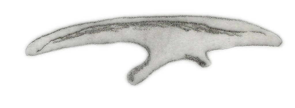 Disegno fossile di Micropachycephalosaurus hongtuyanensis