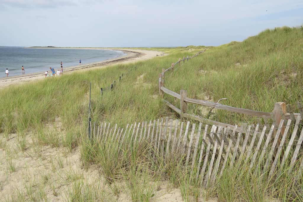 Dune erbose che conducono a Beautiful, Sunny Beach;  Napatree Point, Westerly, Rhode Island