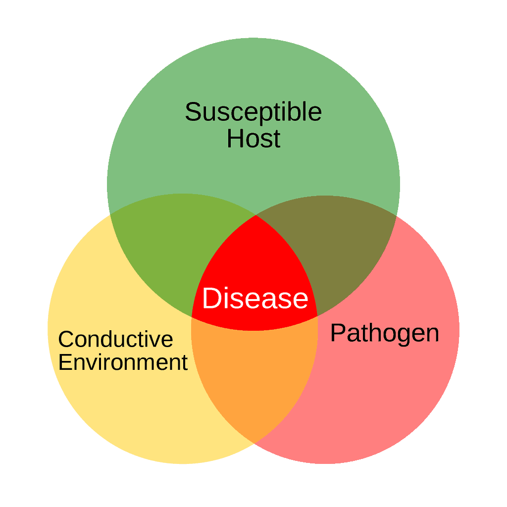 Triangolo delle malattie delle piante