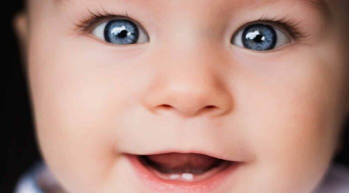 Ritratto del bambino.  Fronte del primo piano con gli occhi azzurri luminosi.  Bambini, occhi, oftalmologia, curiosità, felicità, esplorare il mondo, gioia, infanzia, psicologia, genitorialità, concetti di ritratto