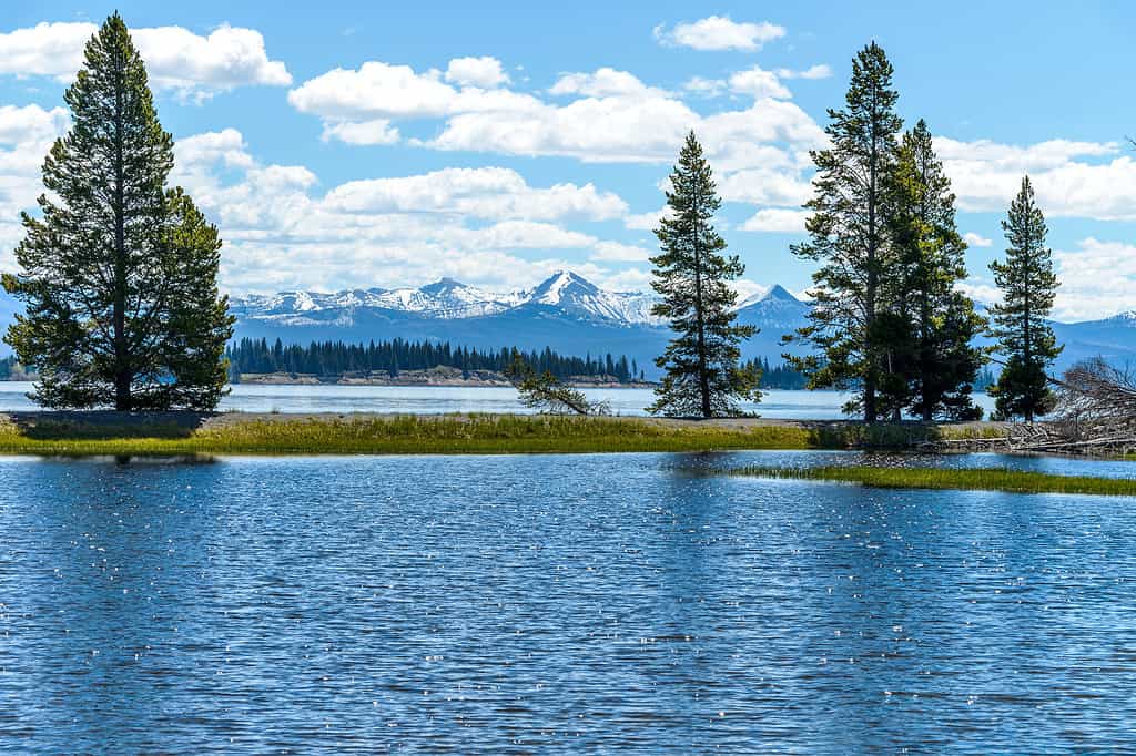 Lago Yellowstone