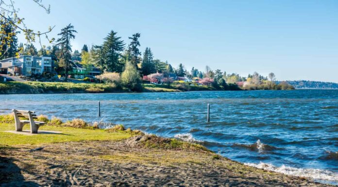 La primavera sboccia lungo il Lake Washington Boulevard a Seattle, Washington.