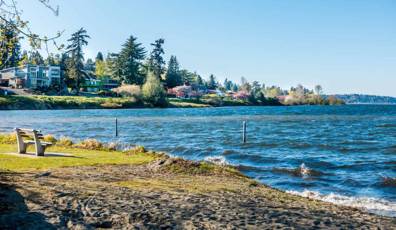 La primavera sboccia lungo il Lake Washington Boulevard a Seattle, Washington.