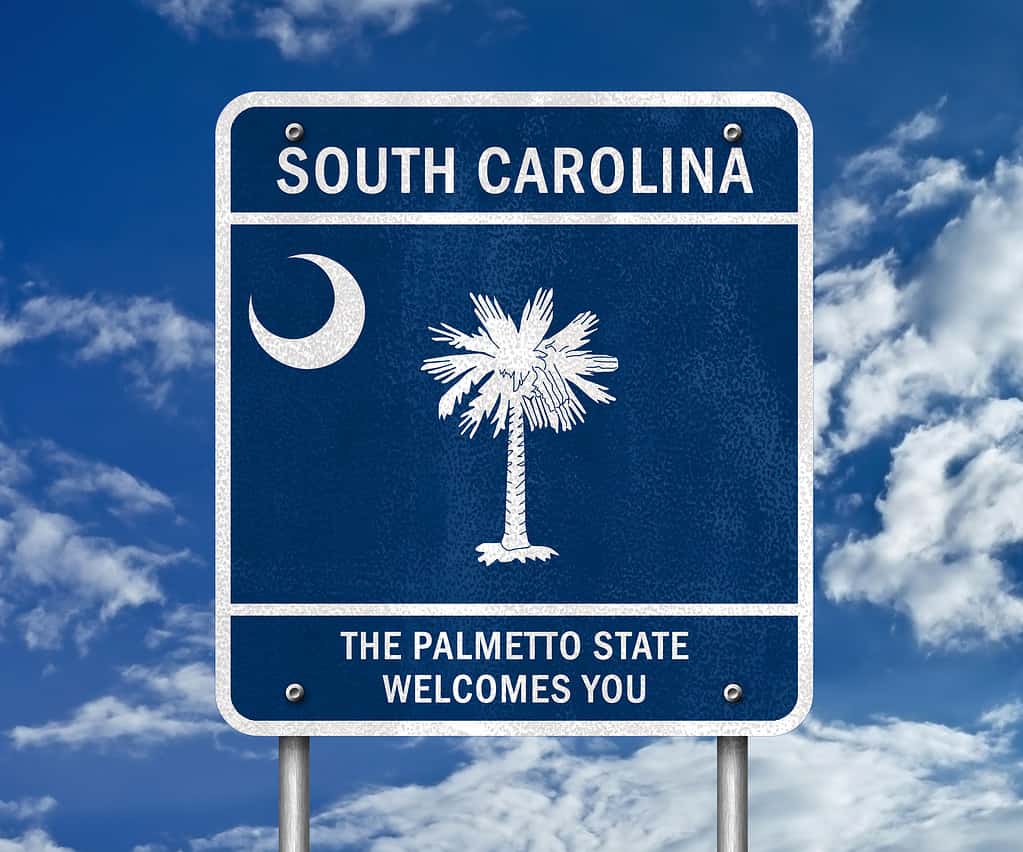 Cartello di benvenuto della Carolina del Sud