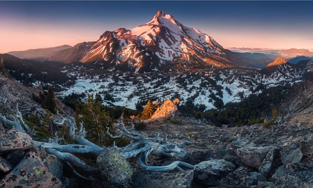 Il monte Jefferson, vulcano centrale innevato della cascata dell'Oregon, si erge sopra una foresta di pini