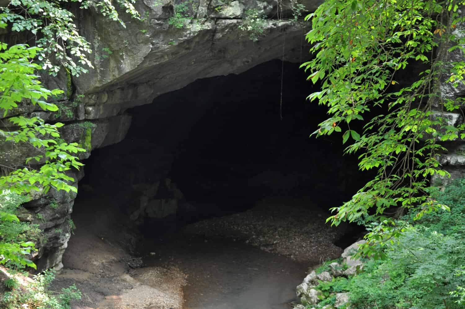 Monumento nazionale della caverna di Russel Bridgeport, Alabama