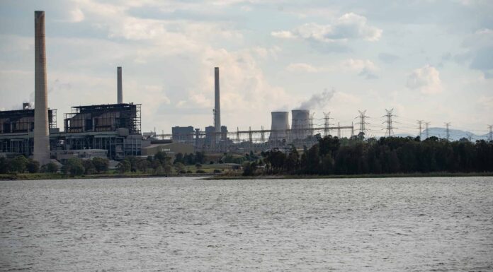 Scopri l'unica centrale nucleare in Australia (e ciò che vive intorno ad essa)
